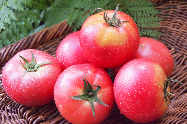 トマトの美肌効果